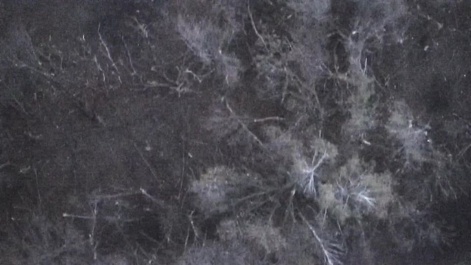 Еще видео унижения противника