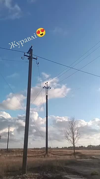 Завораживающе. Клин журавлей в небесной выси над Херсоном