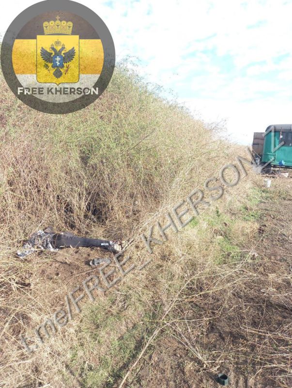 ОНИ ЦЕЛЕНАПРАВЛЕННО ОХОТЯТСЯ ЗА МИРНЫМИ ЖИТЕЛЯМИ! ОНИ ЦЕЛЕНАПРАВЛЕННО ОХОТЯТСЯ ЗА МИРНЫМИ ЖИТЕЛЯМИ!