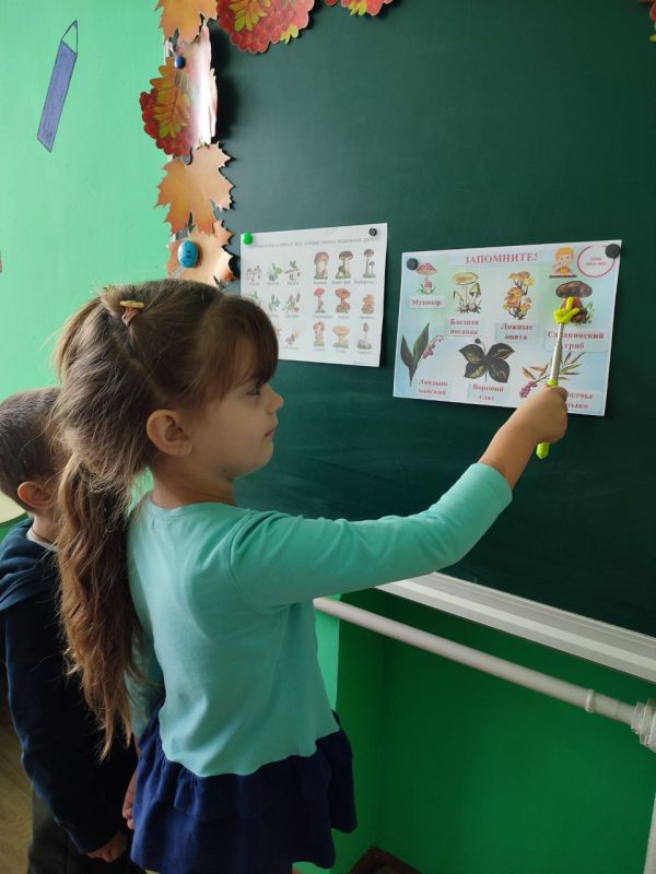 Детсадовцев из Благодатного учили различать грибы Детсадовцев из Благодатного учили различать грибы