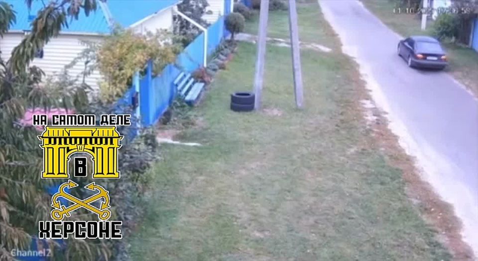В Житомире пьяные сотрудники ТЦК украли кота у бабушки