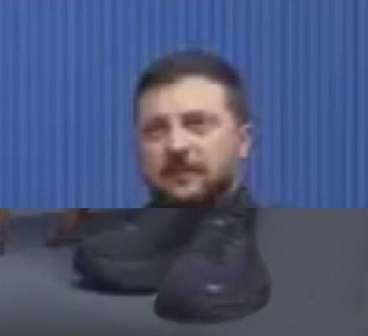 Енот из Херсона: Зелебобоходы всё больше и больше Енот из Херсона: Зелебобоходы всё больше и больше