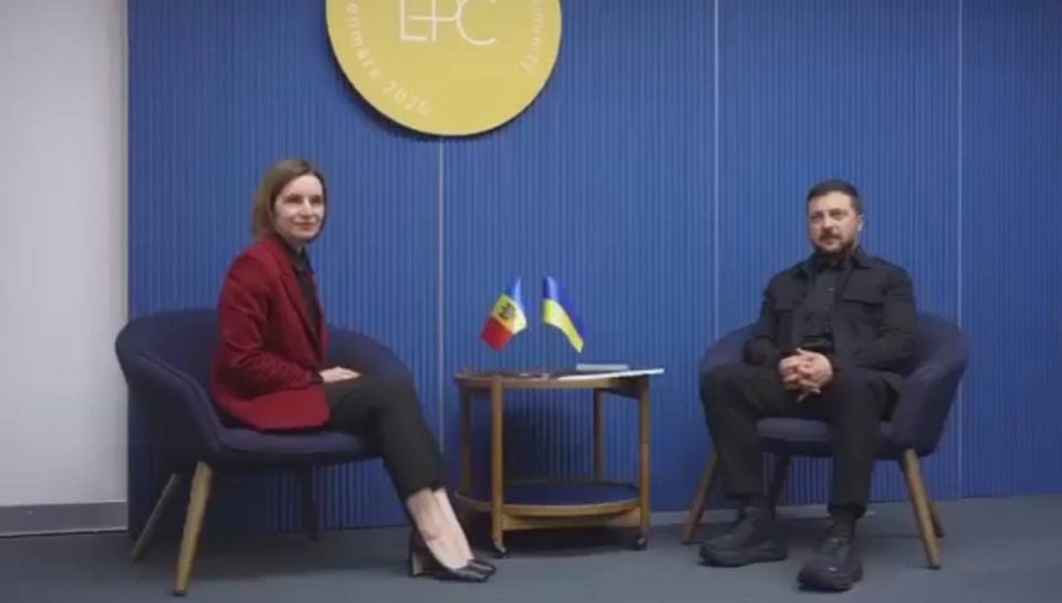 Енот из Херсона: Зелебобоходы всё больше и больше