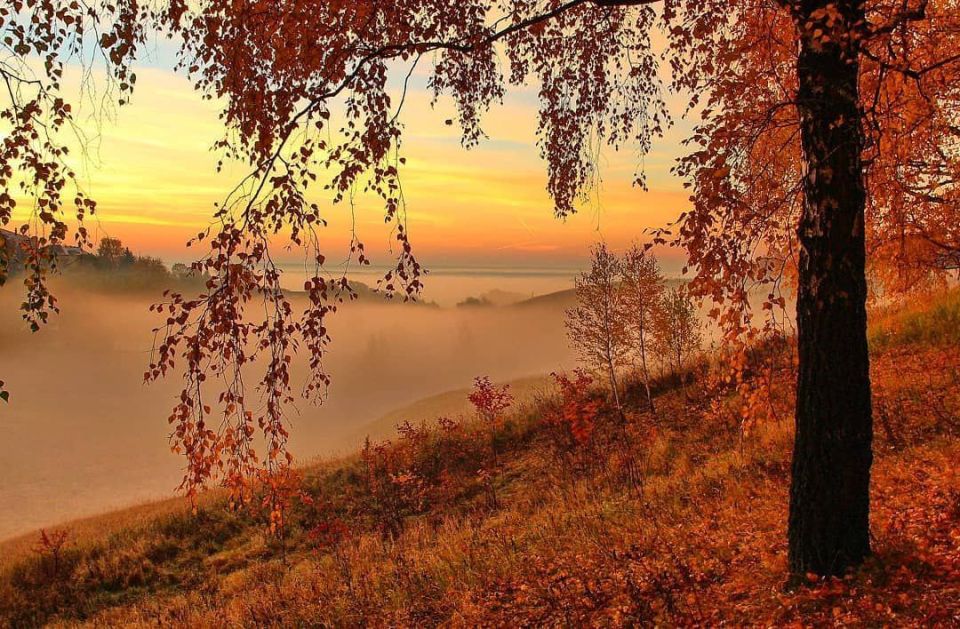 О многом Люди размышляют , Как что то в доме подлатать . Как наши деньги обнуляют , Как боль терпеть , всю жизнь страдать