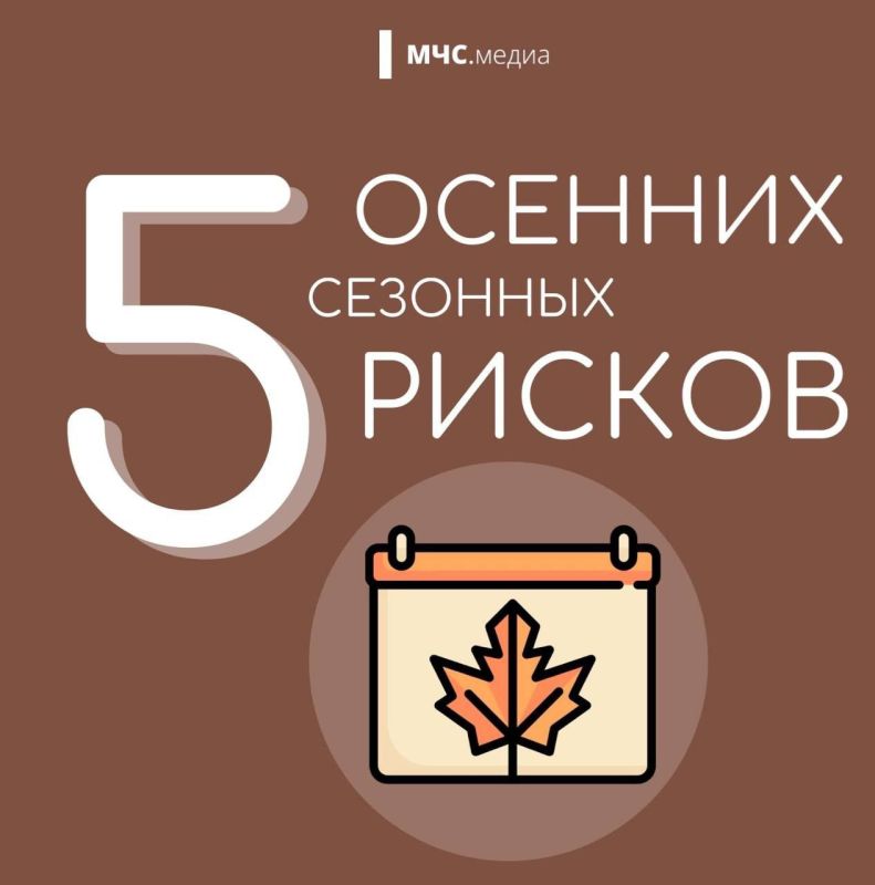 Осенние риски. читай;. запоминай;