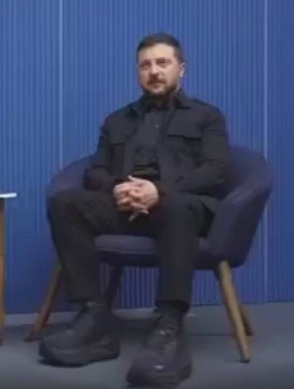 Енот из Херсона: Зелебобоходы всё больше и больше Енот из Херсона: Зелебобоходы всё больше и больше