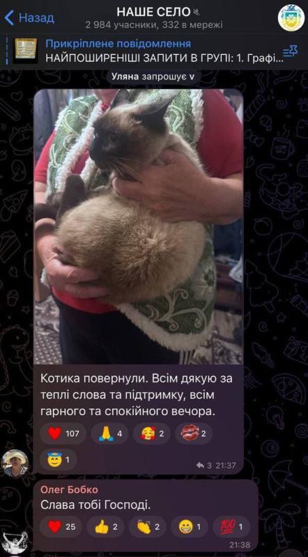 Военкомы в Киевской области вернули хозяевам "мобилизованного" кота