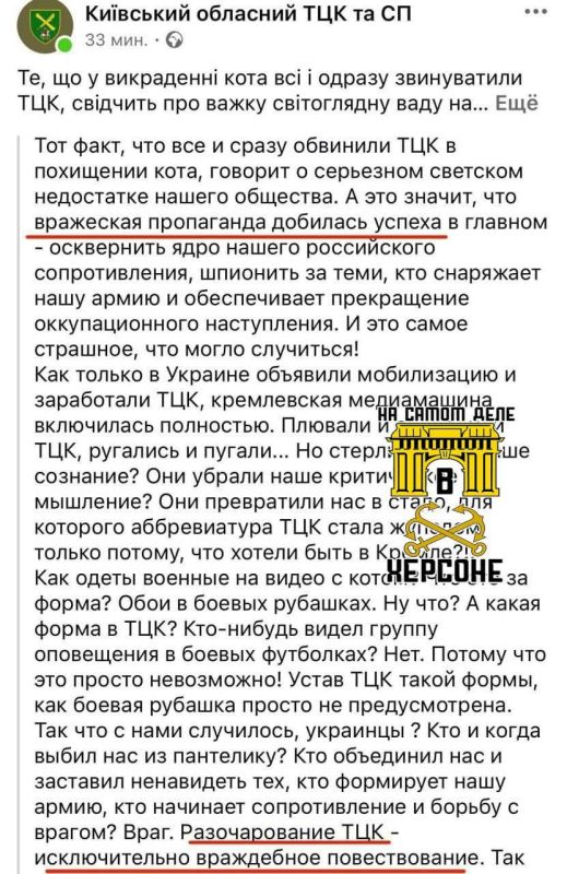 В Житомире пьяные сотрудники ТЦК украли кота у бабушки В Житомире пьяные сотрудники ТЦК украли кота у бабушки