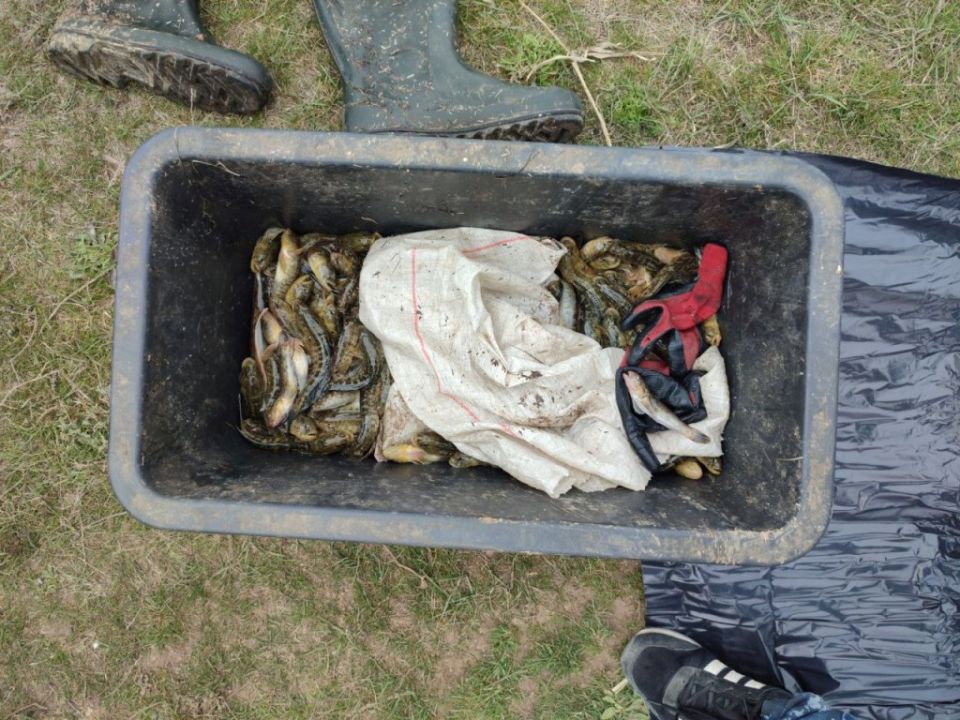 ���������� ������������ ����������� ��������� ������������� ���������� ���� � ��������� ����������