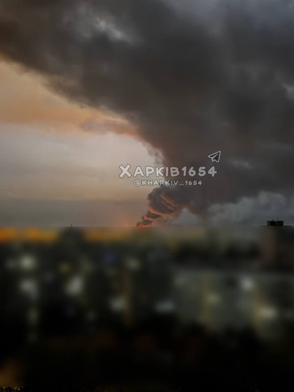 �������. ����� ���. �� ���� �������, ���� ������ 20 ��������