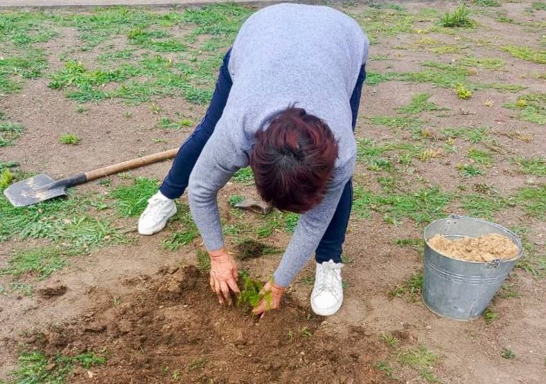 Субботник в Широчанском Доме культуры Субботник в Широчанском Доме культуры