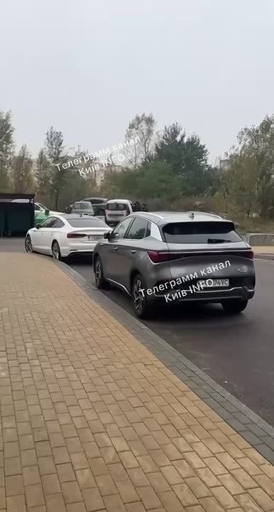 В Киеве бусифицировали и собаку - ТЦК задержали ее вместе с владельцем, сообщают местные паблики