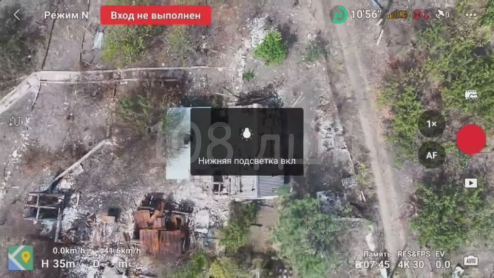 Енот из Херсона: Радующие глаз кадры уничтожение хохлопитеков