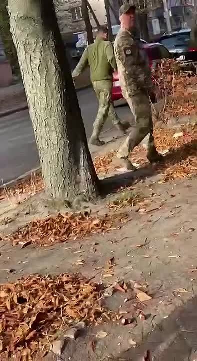      ,    