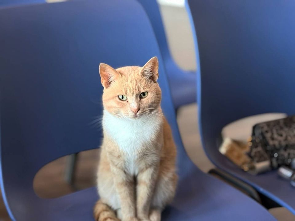 ����� �������� � �����������: "����� ����������" ������ ���� � ��������� ��������!