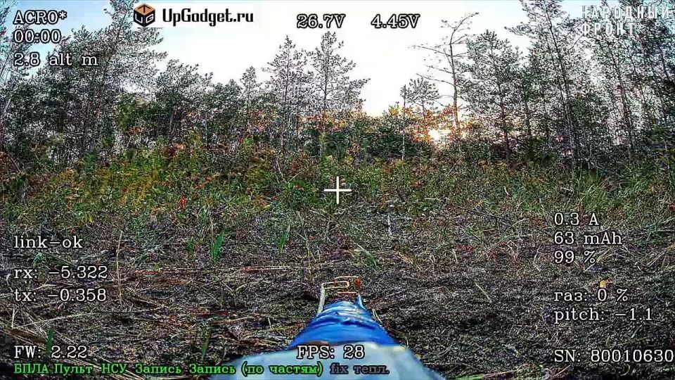 Пушистый инспектор явился, чтобы убедиться, что с FPV-дроном в укрытии все в порядке