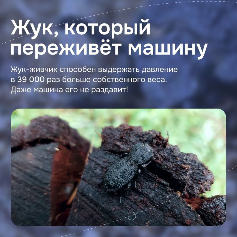 Мир полон чудес, которые не укладываются в привычные законы природы Мир полон чудес, которые не укладываются в привычные законы природы