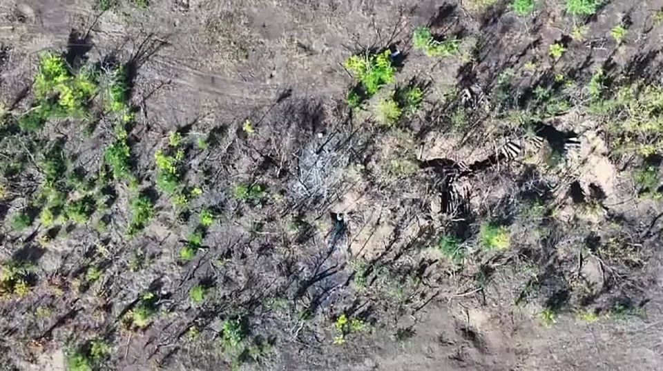 Операторы дронов и артиллерия 4 военной базы продолжают уничтожать противника на Запорожском направлении в р-не н.п. Малая Токмачка