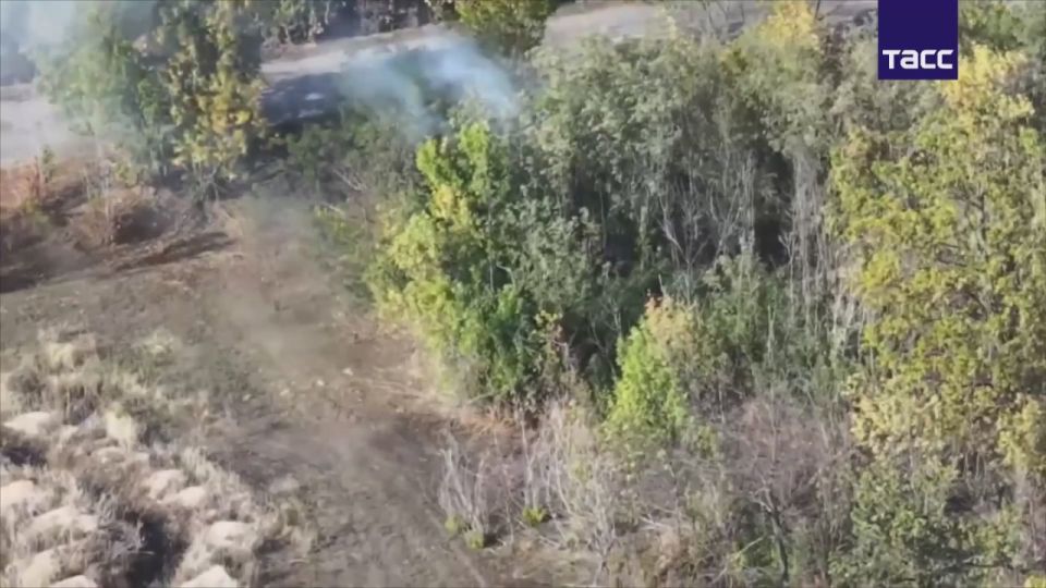 Операторы FPV-дронов группировки войск "Днепр" поразили артиллерию, ретранслятор и пункт управления БПЛА ВСУ в Запорожской области