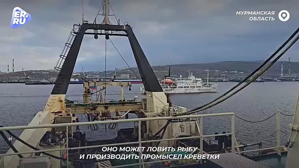 Татьяна Томилина: Современный АПК — это динамичная и высокотехнологичная отрасль, в которой появляются новые интересные инициативы