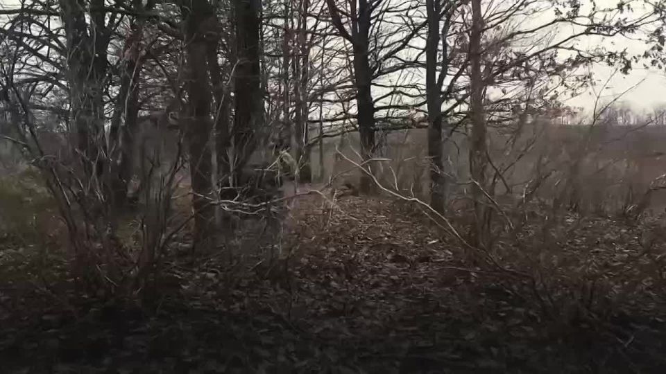 Быть патриотом - не просто слова, это чувство, которое живет в сердце!