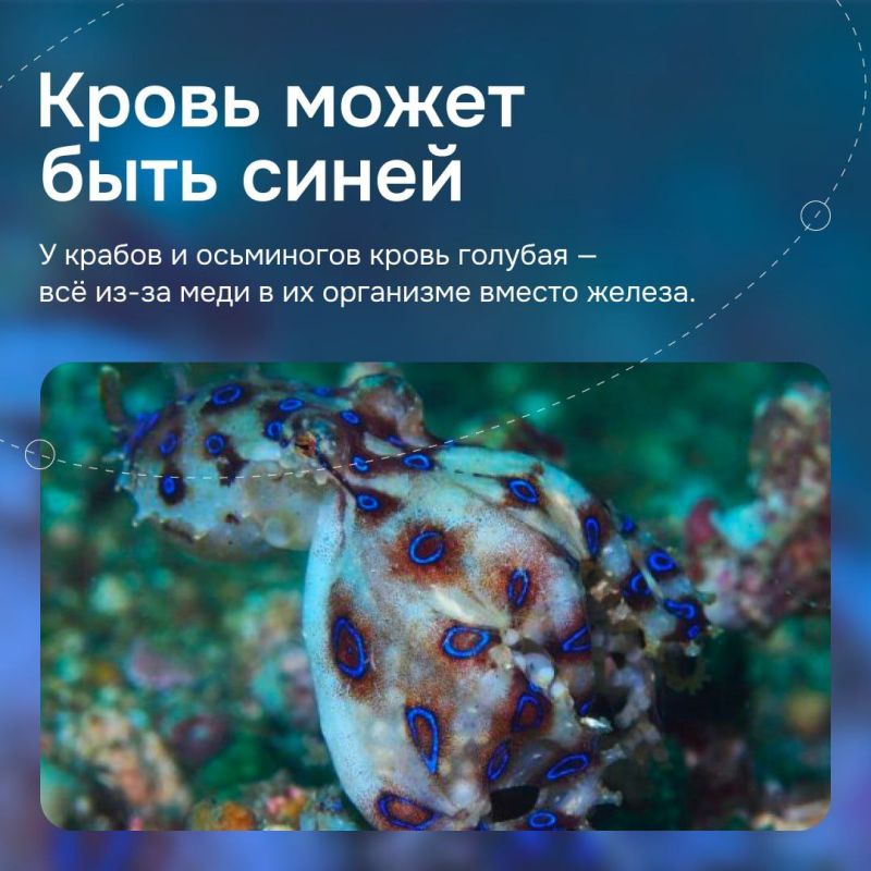 Мир полон чудес, которые не укладываются в привычные законы природы Мир полон чудес, которые не укладываются в привычные законы природы