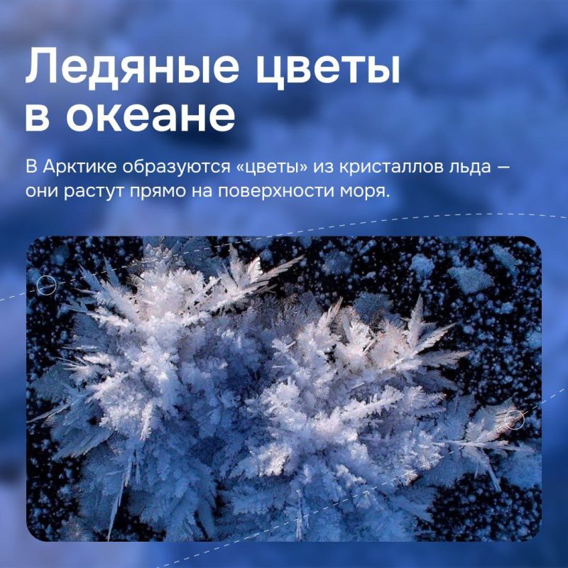 Мир полон чудес, которые не укладываются в привычные законы природы Мир полон чудес, которые не укладываются в привычные законы природы