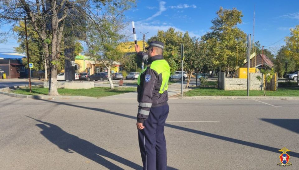 В Геническом округе Херсонской области сотрудники Госавтоинспекции провели профилактический рейд «Внимание, пешеход!»