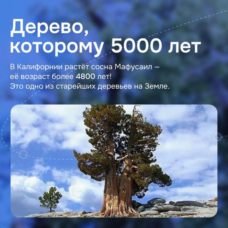 Мир полон чудес, которые не укладываются в привычные законы природы Мир полон чудес, которые не укладываются в привычные законы природы