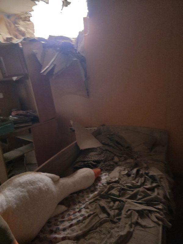 Киевский режим атаковал Алешкинский округ 691 раз за неделю, заявил Руслан Хоменко Киевский режим атаковал Алешкинский округ 691 раз за неделю, заявил Руслан Хоменко