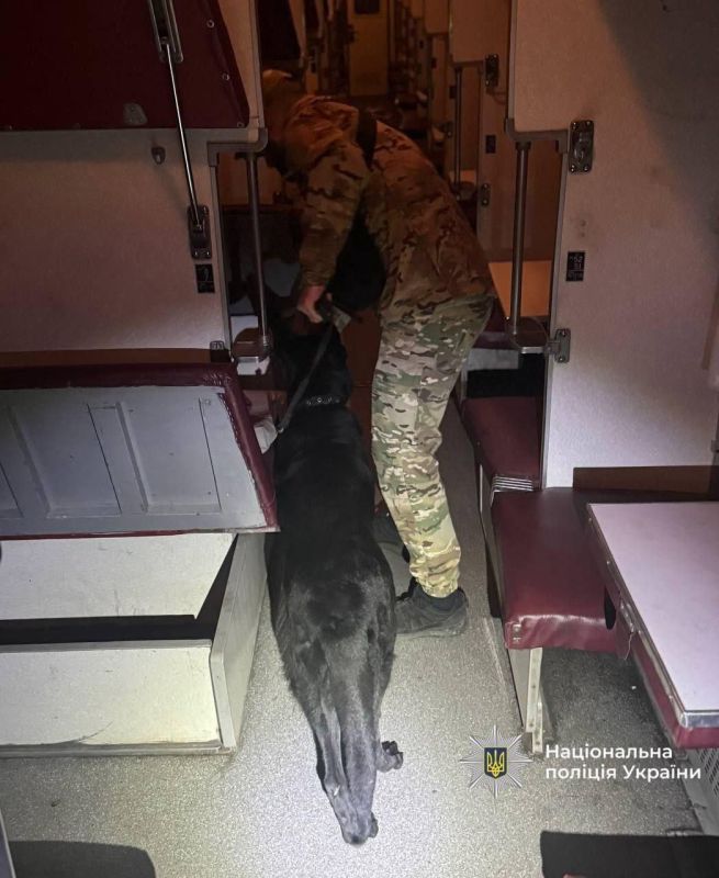 На Украине лихорадит ж/д перевозки — поезда регулярно останавливают из-за сообщений о минировании На Украине лихорадит ж/д перевозки — поезда регулярно останавливают из-за сообщений о минировании