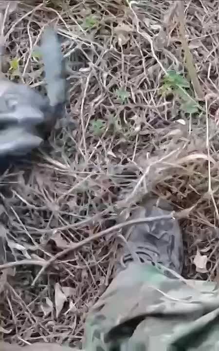   ,       ,    ,    ,   ,      