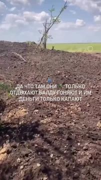 Друзья, давайте сегодня проведём вечер хвостика!