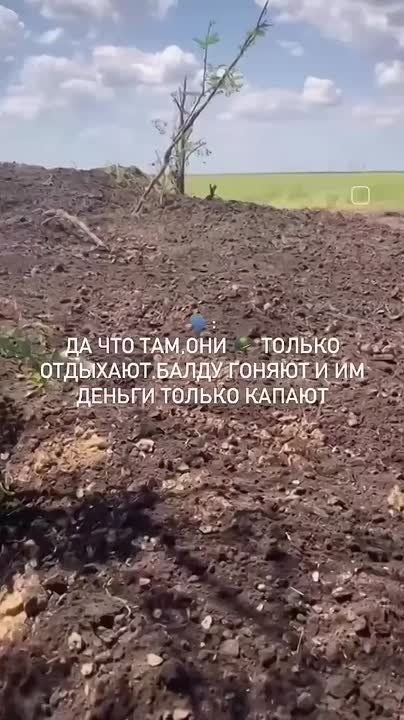 Друзья, давайте сегодня проведём вечер хвостика!