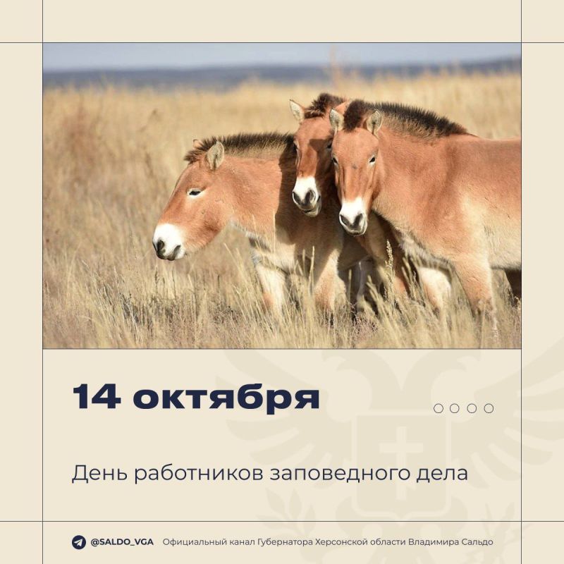 В Новотроицком округе задержали 38-летнего мужчину, подозреваемого в краже В Новотроицком округе задержали 38-летнего мужчину, подозреваемого в краже