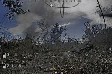 Ожидание и терпение. телеграм-канал Херсонский Вестник