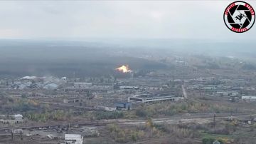 ФАБ-3000 собственной персоной!!! Большой осенний гриб хохлы получили