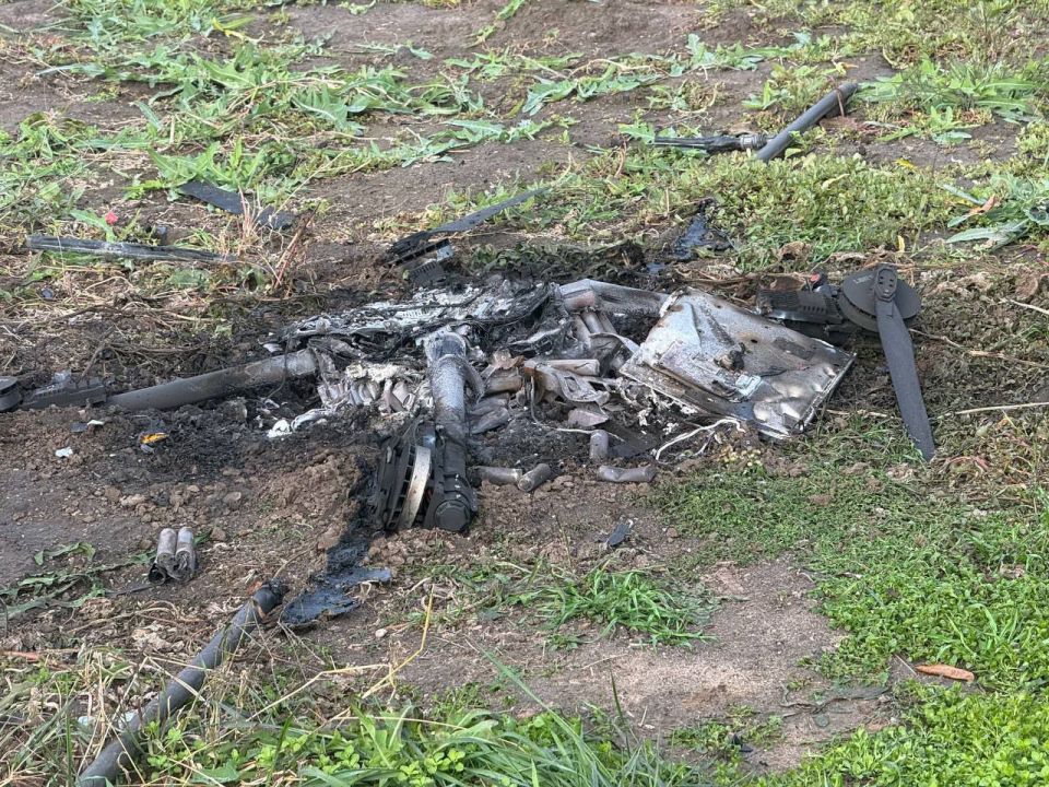 ���� ����: ���������� ��� ����� ���������� 40 ���������� ����: 17 � ��� ������������ ���, 12 � ��� �����������, �� 3 � ��� ������������� � ׸���� �����, �� 2 � ��� ���������� � ������, 1 � ��� ������� ���