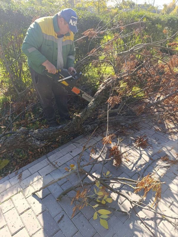 15 ������� ��������� ��� ����������������� ������� ����������� ������ �� ��������������� � ���������� ������� �� ��������� �� ���������� ������� ����������� �������������� ������