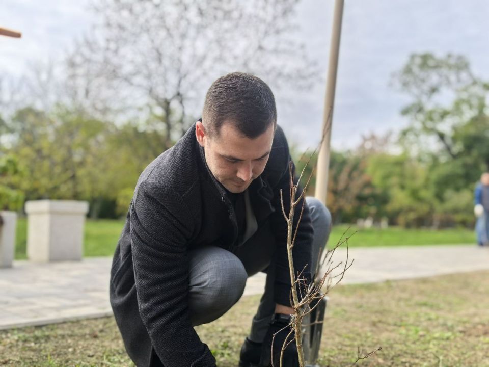 �������� ����������: � ������ �������� ���� � ������ ������� "�������� ���"