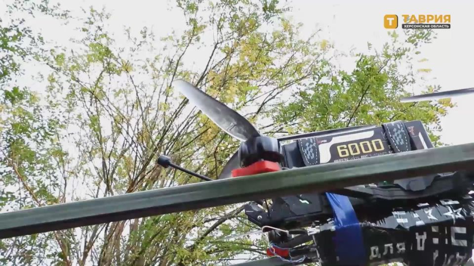  FPV-   &quot;&quot;      
