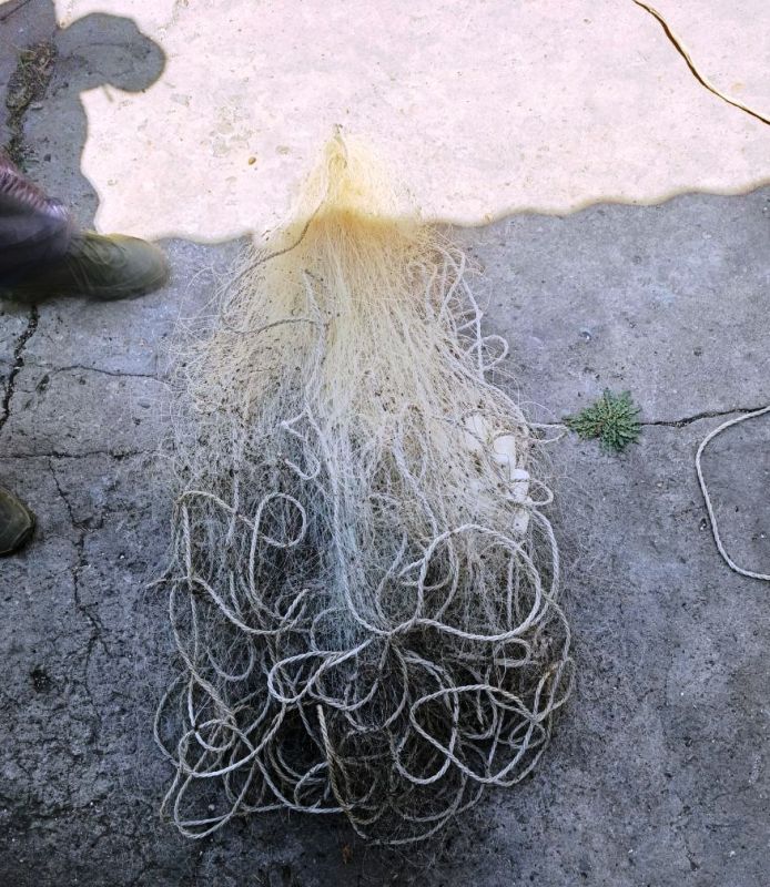 � ���������� ������� ������������ ����������� �������� �������������