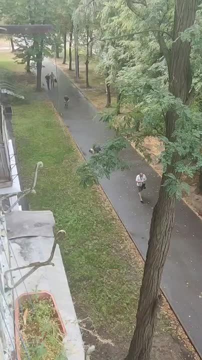    ,     ,    ,   