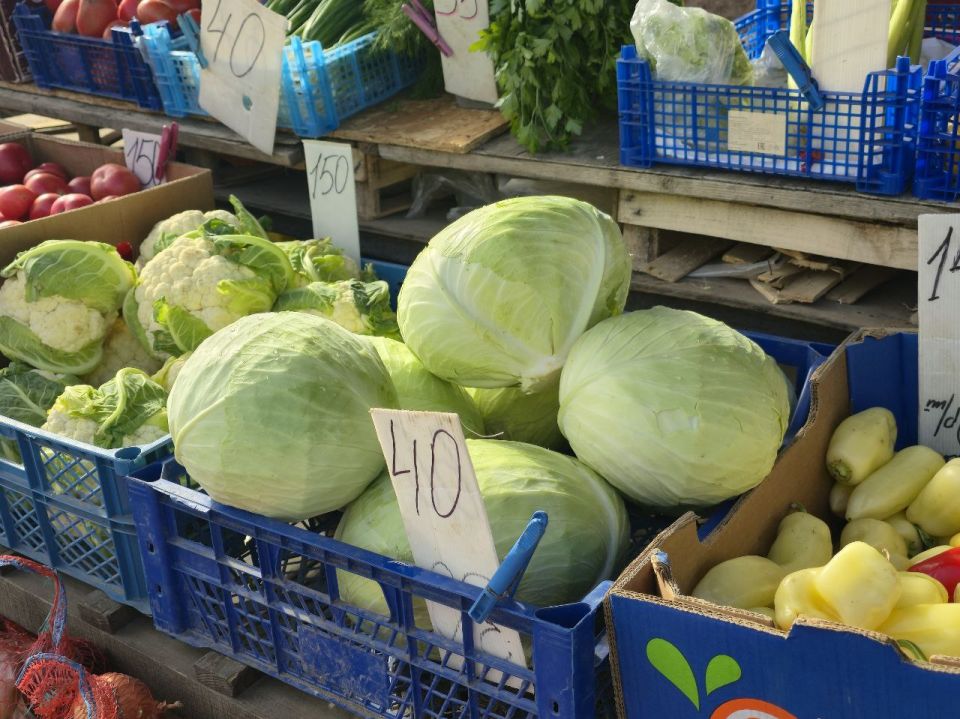 ���� �� ������������ ��������� �������� ����������