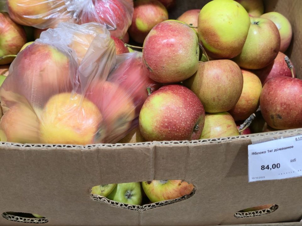 ���� �� ������������ ��������� �������� ����������