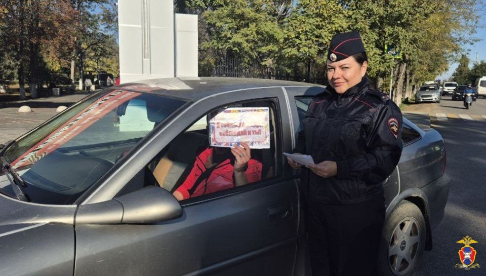 В Херсонской области сотрудники Госавтоинспекции провели профилактический рейд в Геническом округе