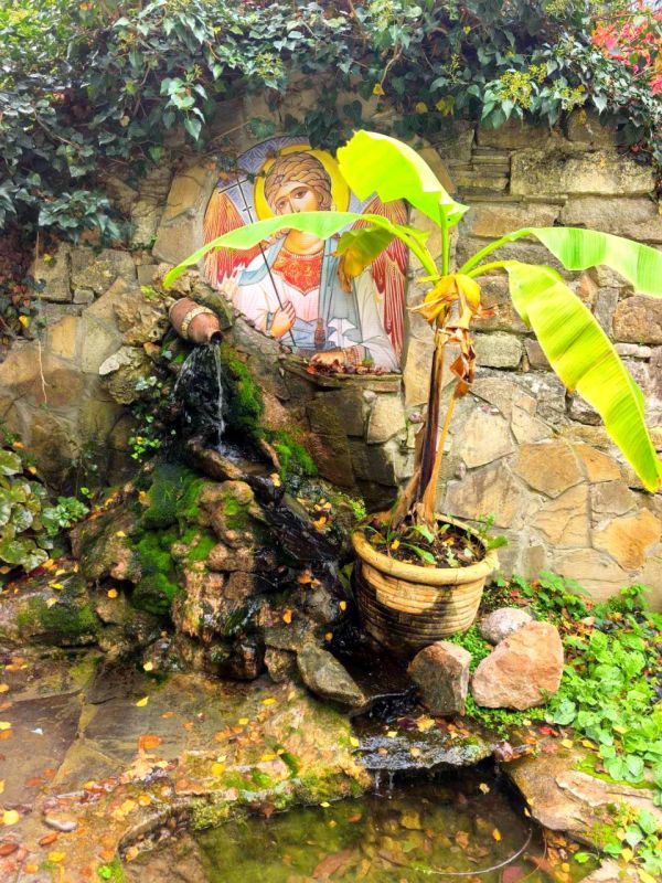 ������ ���� ������������� ��������� ��������: �������� ���������� � ����� �����������