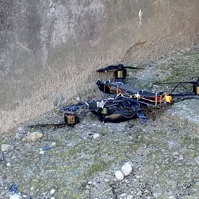 ���� ����: ���������� ��� ����� ���������� 41 ���������� ����: 12 � ��� �������� ���, �� 5 � ��� � ��������� ��� � ���������, 3 � ��� ����������, �� 2 � ��� ������������ � ��������� ���, �� 1 � ��� �������������, �������...