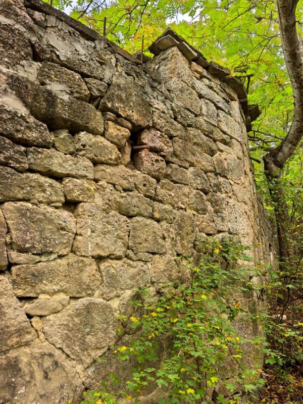 ������ ���� ������������� ��������� ��������: �������� ���������� � ����� �����������