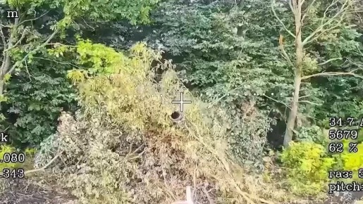     FPV 56  -        